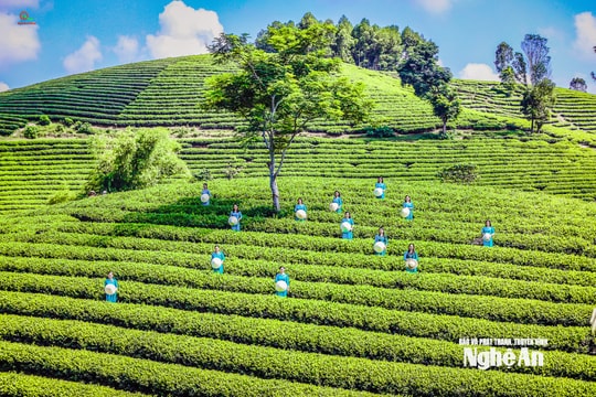 Nông thôn Việt Nam trong kỷ nguyên phát triển mới: Chuyển đổi, thích ứng và phát triển bền vững theo tinh thần Nghị quyết Đại hội XIV của Đảng