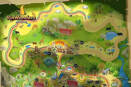 Night Safari Phú Quốc: Hành trình khám phá đời sống động vật hoang dã về đêm độc đáo