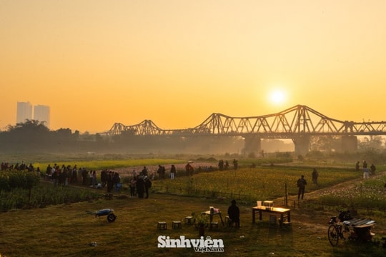 Hà Nội: 'Săn' bình minh rực rỡ tại bến hoa Phúc Xá chân cầu Long Biên