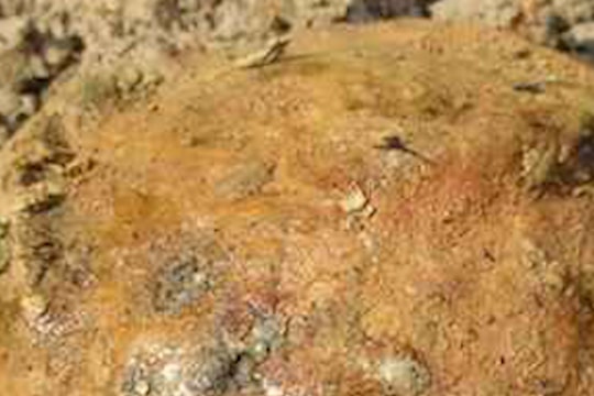 Hai người phụ nữ tử vong nghi do đập bom bi để lấy phế liệu