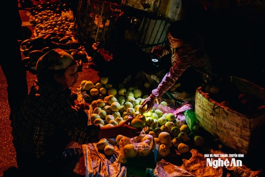 Mưu sinh trong giá rét