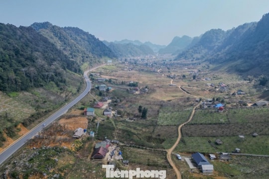 Mộc Châu: Ngỡ ngàng sắc đào mận nở sớm phủ trắng cao nguyên trước Tết