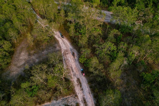 Vườn quốc gia Phú Quốc: Khám phá hệ sinh thái đa dạng và trải nghiệm trekking rừng già