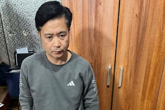 Ngâm bình rượu rắn hổ mang, người đàn ông bị khởi tố