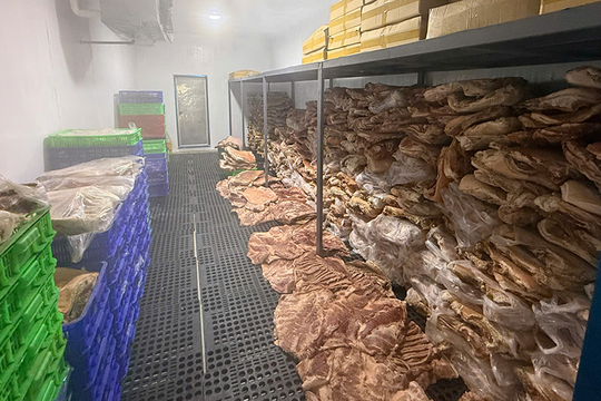 Triệt phá đường dây ‘phù phép’ thịt heo thành thịt đà điểu, nhím, nai quy mô lớn