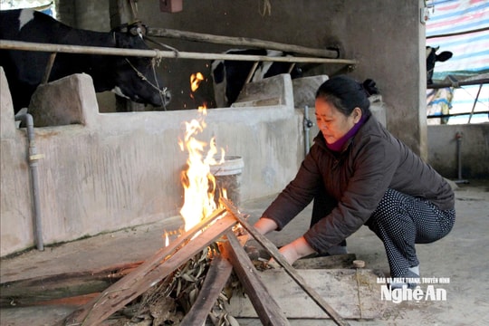 Người dân miền núi Nghệ An chủ động chống rét cho vật nuôi