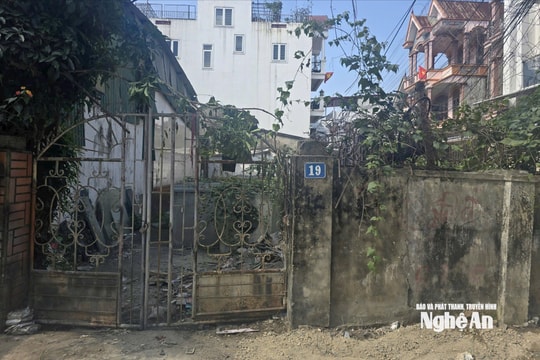 Nghệ An: Bị mạo danh làm giám đốc "công ty ma", cô gái 23 tuổi hoảng loạn vì rủi ro pháp lý