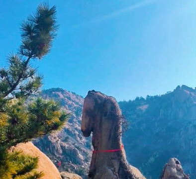 Thanh Đảo: Tảng đá ngựa phi trên núi Đại Chu hút khách check-in dịp năm mới 2026