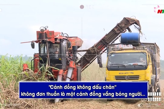 Cánh đồng "không dấu chân"
