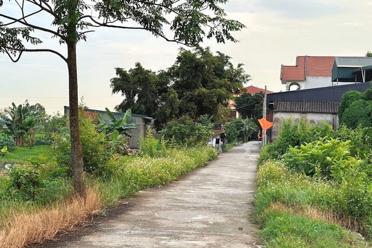 Đất khai hoang tự ý chuyển mục đích sử dụng, xây nhà ở có được cấp sổ đỏ?