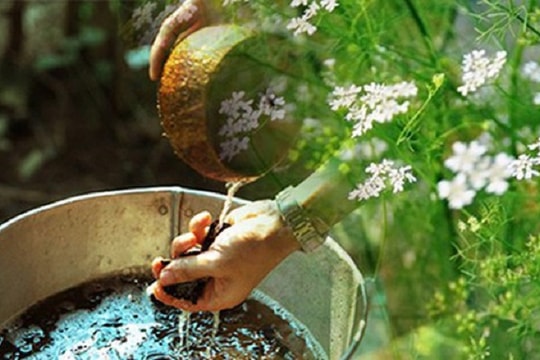 Mẹo bao sái bàn thờ bằng nước mùi già để đón tài lộc và bình an dịp Tết