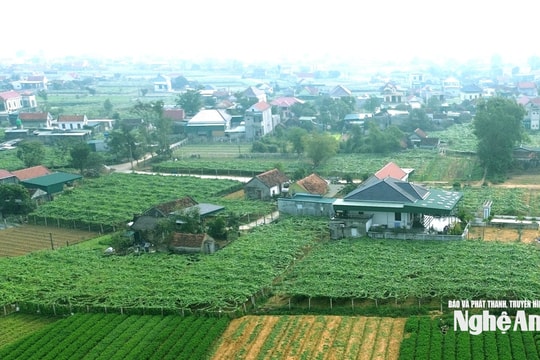 Thời tiết Nghệ An ngày 22/1: Trời rét, vùng núi có nơi rét đậm, đêm và sáng sớm rét hại