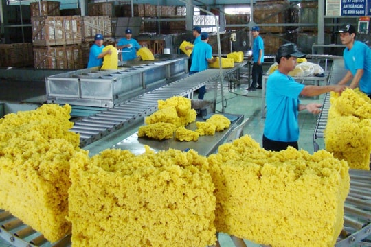 Thị trường cao su toàn cầu 2025: Nguồn cung dự báo thấp hơn nhu cầu 700.000 tấn