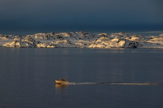 Tổng thống Putin định giá Greenland 1 tỷ USD