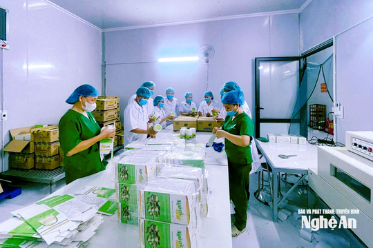 Hướng về Đại hội XIV của Đảng: Kinh tế xanh, kinh tế tuần hoàn, kinh tế số - động lực mới cho nông nghiệp, nông thôn Nghệ An