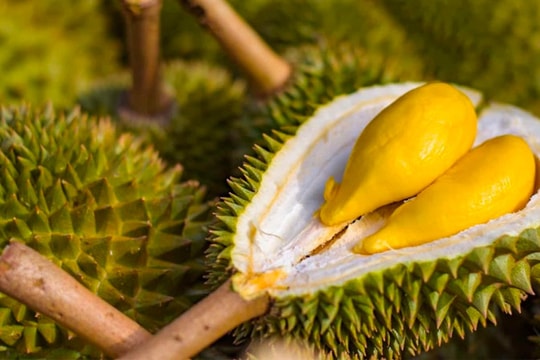 Giá sầu riêng hôm nay 24/1: Thị trường đi ngang, cao nhất 90.000 đồng/kg
