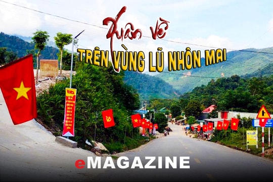 Xuân về trên vùng lũ Nhôn Mai