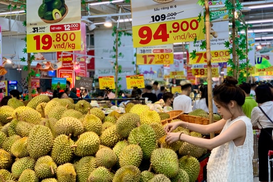 Giá sầu riêng hôm nay 25/1: Đồng loạt giảm tại các kho thu mua