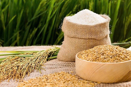 Giá lúa gạo hôm nay 26/1: Thị trường đi ngang, xuất khẩu đạt gần 150 triệu USD đầu năm