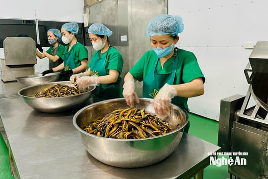 Đón Tết Nguyên đán, thực phẩm nhà làm rộn ràng vào mùa