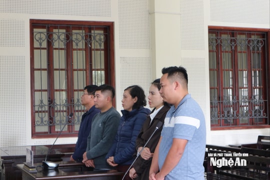 Nghệ An: 'Vẽ đường' lừa người sang Mỹ, nhiều bị cáo vào tù