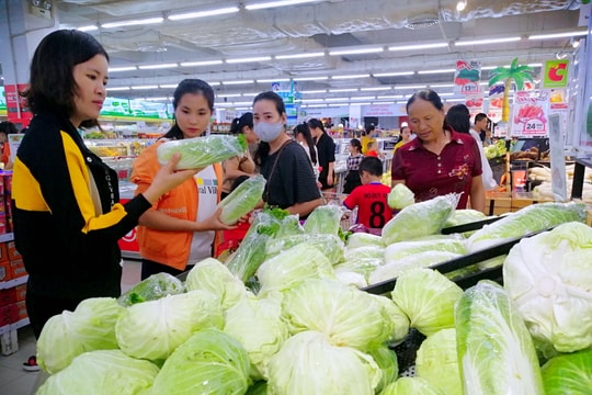 Đứng thứ 2 cả nước, OCOP Nghệ An vẫn khó vào siêu thị?
