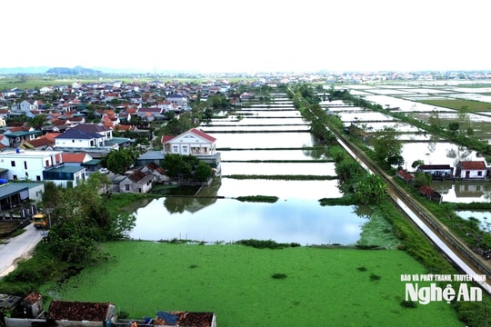 Nghệ An đẩy nhanh tái định cư cho dự án đường sắt tốc độ cao