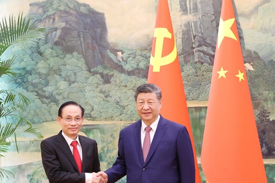 Đặc phái viên của Tổng Bí thư Tô Lâm hội kiến Tổng Bí thư, Chủ tịch nước Tập Cận Bình