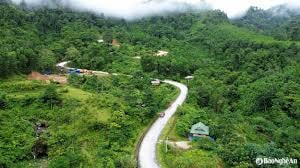 Nghệ An - Phát triển kinh tế rừng bền vững