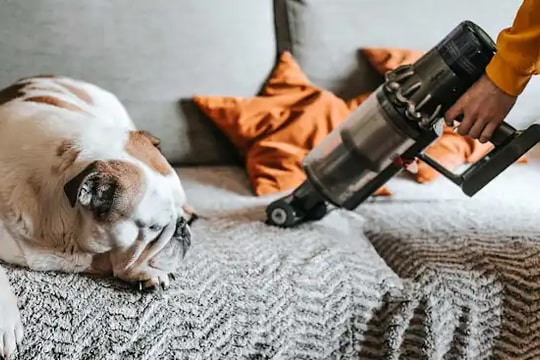12 cách giảm ô nhiễm không khí trong nhà giúp bảo vệ sức khỏe gia đình