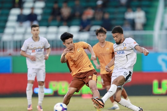 V-League 2025/2026 kết thúc sớm 3 tuần để nhường chỗ cho World Cup và Đội tuyển Việt Nam