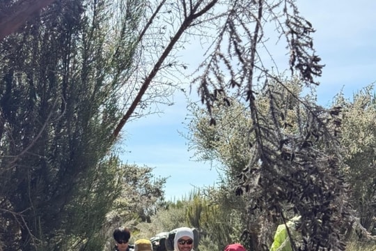 Lee Si Young chinh phục đỉnh Kilimanjaro: Hành trình chạm đến nóc nhà châu Phi