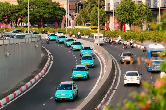 Thị trường taxi Việt Nam quý 4/2025: Xe điện chính thức vượt xe xăng về doanh thu
