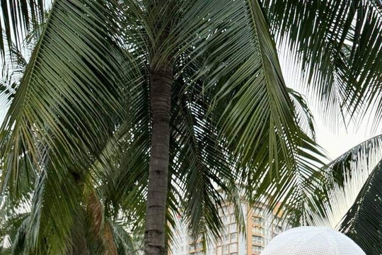 Hoa hậu H'Hen Niê hội ngộ Á hậu Hoàng My: Hai ái nữ gây sốt với màn làm quen đáng yêu