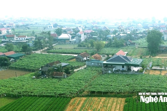 Thời tiết Nghệ An ngày 12/2: Có mưa nhỏ vài nơi, sáng sớm và đêm trời rét