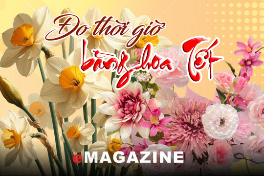 Đo thời giờ bằng hoa Tết