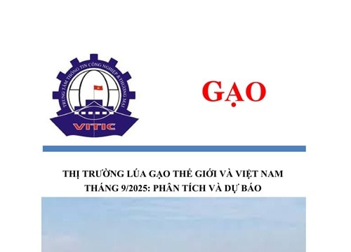Giá gạo thế giới tháng 9/2025 giảm nhẹ trong bối cảnh nguồn cung biến động