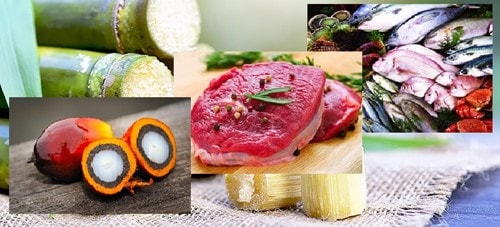 Thị trường thực phẩm tháng 10/2025: Giá dầu thực vật biến động, cá tra tăng trưởng tại Brazil