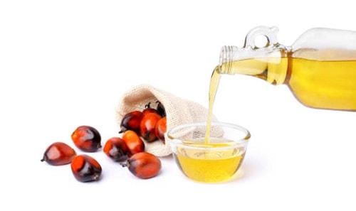 Giá dầu cọ chịu áp lực khi Indonesia dừng kế hoạch biodiesel, dự báo mức 968-1.096 USD/tấn