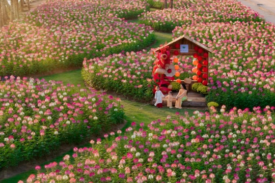 Ecopark tràn ngập sắc hoa tại các đại đô thị khắp 3 miền dịp Tết Bính Ngọ 2026