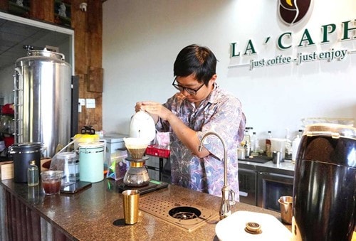 Gia Lai phát triển 2.340 ha cà phê đặc sản, Robusta lọt top 3 thế giới