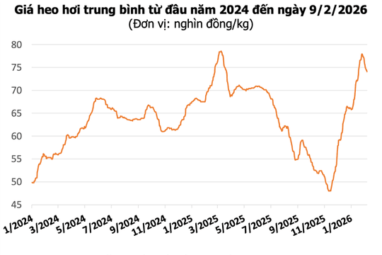 Giá heo hơi hôm nay 9/2: Thị trường tiếp đà giảm, dao động từ 72.000 đến 76.000 đồng/kg