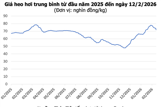 Giá heo hơi hôm nay 13/2: Cần Thơ và Cà Mau giảm về mốc 70.000 đồng/kg