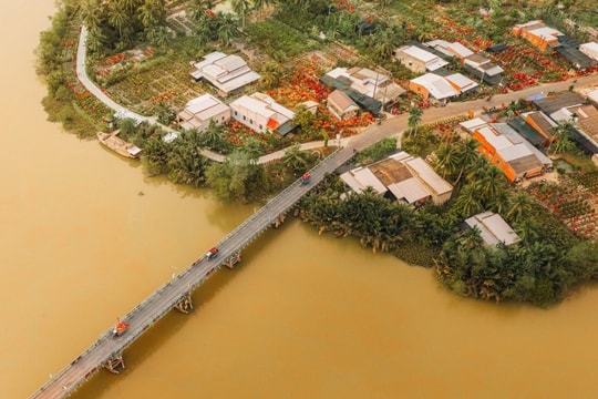 Vĩnh Long: Khám phá sắc xuân rực rỡ tại làng hoa giấy Phú Sơn những ngày cận Tết Nguyên đán