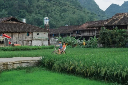 5 làng du lịch Việt Nam tốt nhất thế giới: Gợi ý hành trình trải nghiệm Tết