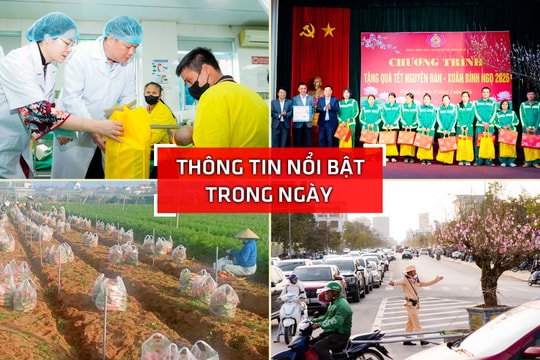 Nghệ An: Thông tin nổi bật ngày 15/2