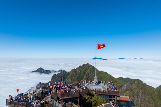 Du xuân miền Bắc 2026: Từ đỉnh thiêng Fansipan đến không gian hoa rực rỡ tại Hà Nội