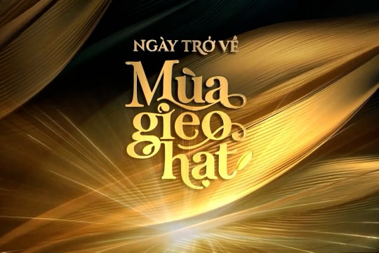 Ngày trở về 2026: Những hạt giống Việt bền bỉ nảy mầm và vươn tầm thế giới