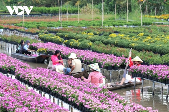 Sa Đéc: Hành trình khám phá thủ phủ hoa trăm tuổi rực rỡ bên dòng sông Tiền