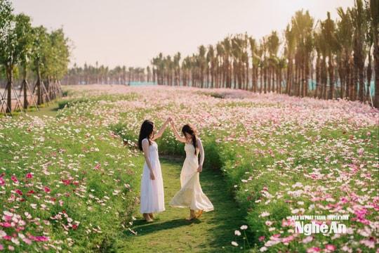 Thời tiết Nghệ An ngày 23/2 (Mồng 7 Tết): Không mưa, sáng sớm có sương mù, trưa chiều hửng nắng